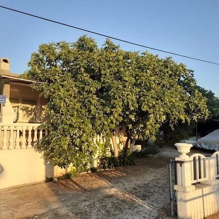 Srecko Apartman Rogoznica  Dış mekan fotoğraf