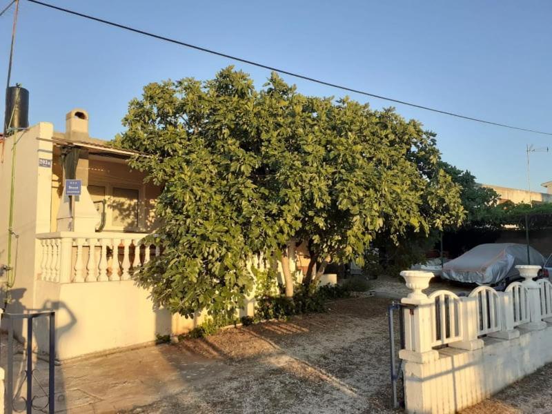 Srecko Apartman Rogoznica  Dış mekan fotoğraf
